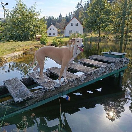 Klidna Lokalita Na Kraji Lesa, Cely Dum S Uschovnu Kol Villa Nová Bystřice Buitenkant foto