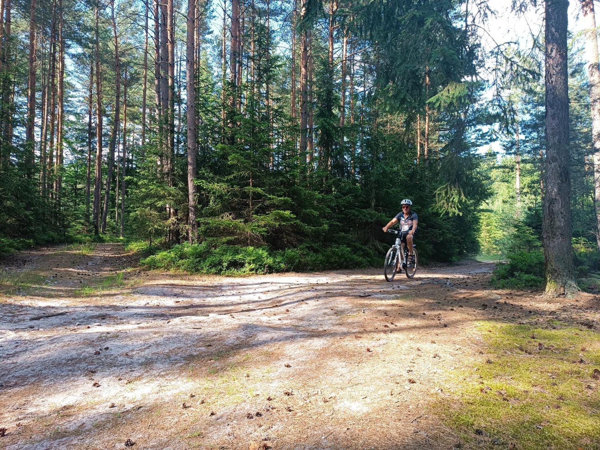 Klidna Lokalita Na Kraji Lesa, Cely Dum S Uschovnu Kol Villa Nová Bystřice Buitenkant foto