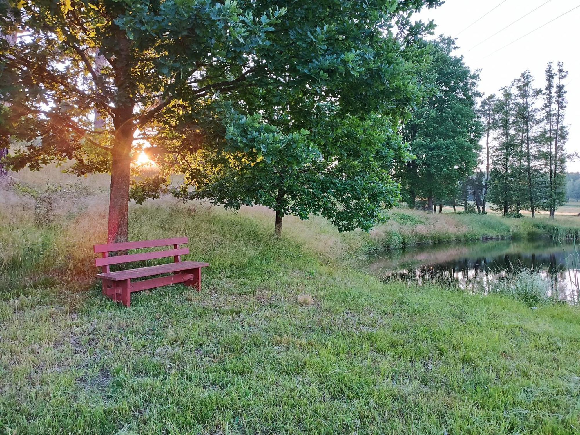 Klidna Lokalita Na Kraji Lesa, Cely Dum S Uschovnu Kol Villa Nová Bystřice Buitenkant foto