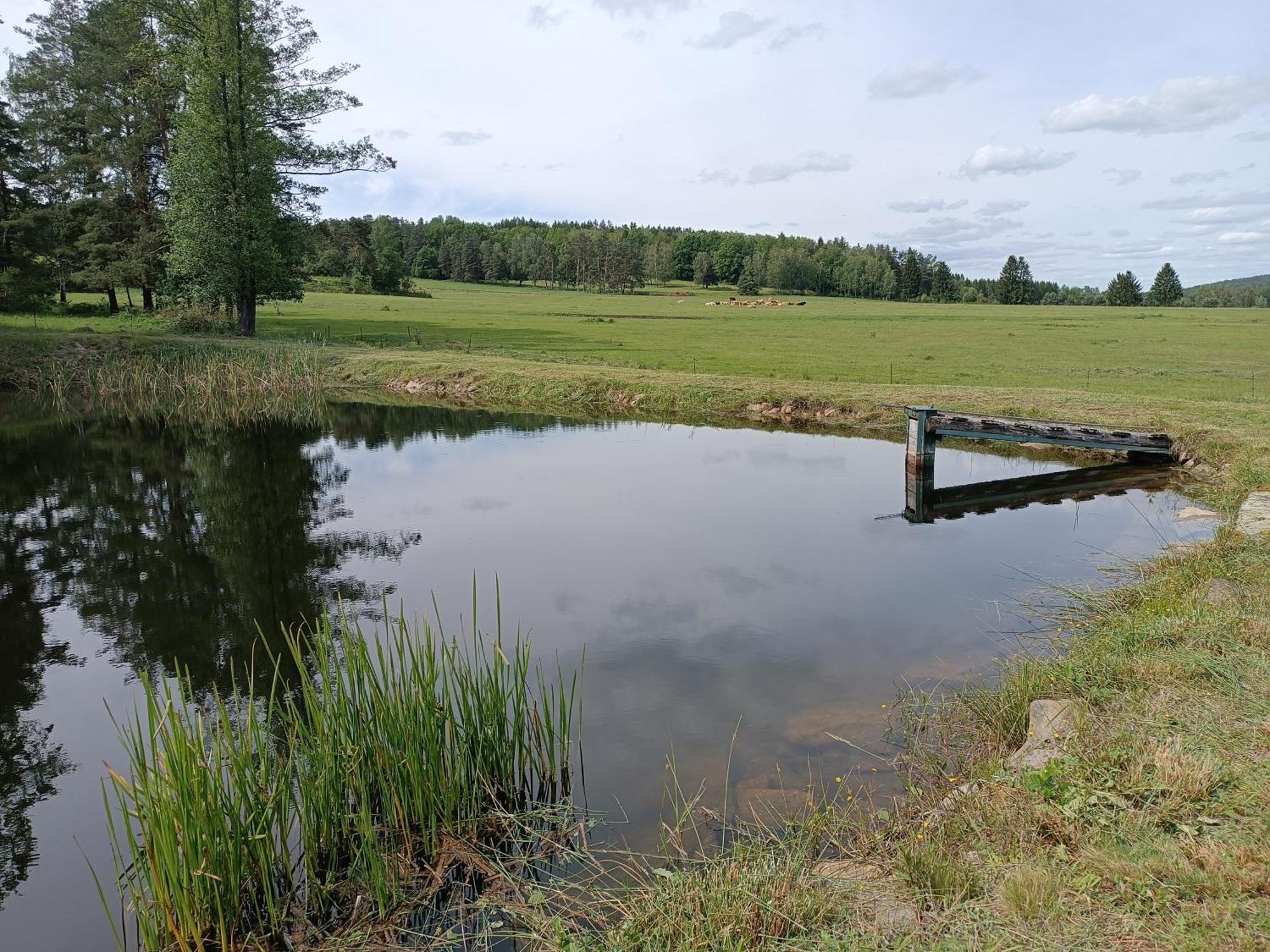 Klidna Lokalita Na Kraji Lesa, Cely Dum S Uschovnu Kol Villa Nová Bystřice Buitenkant foto
