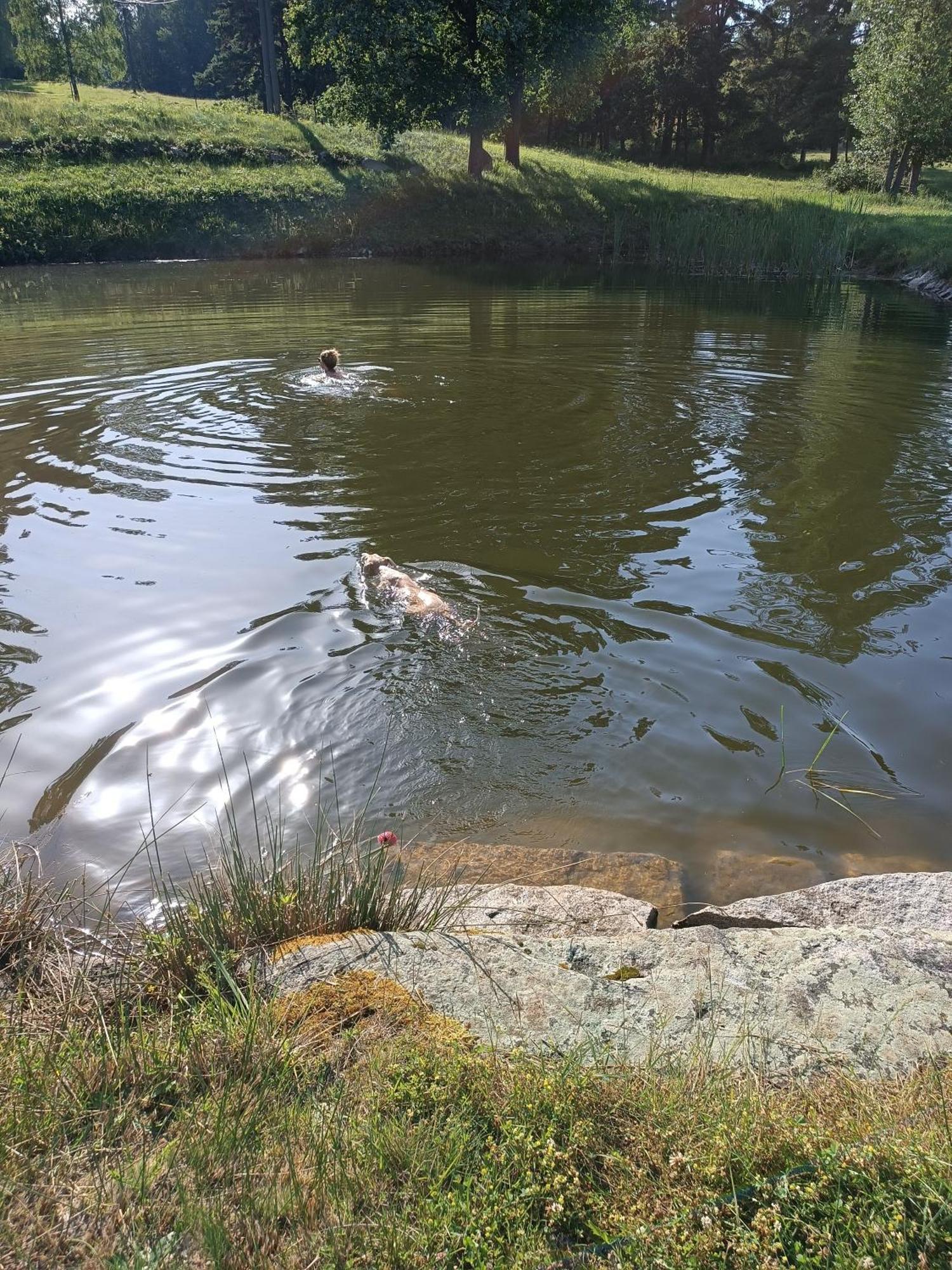 Klidna Lokalita Na Kraji Lesa, Cely Dum S Uschovnu Kol Villa Nová Bystřice Buitenkant foto