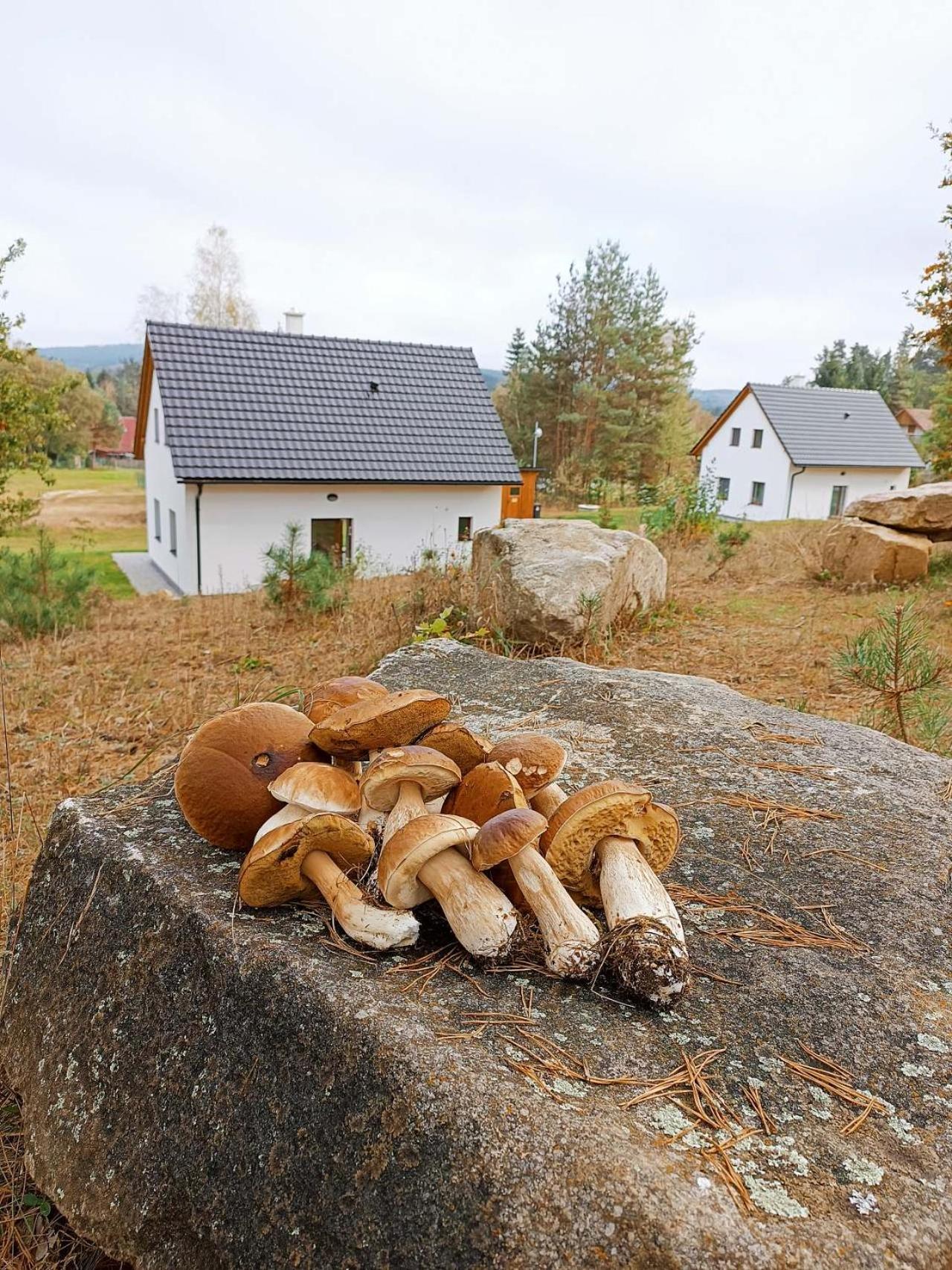 Klidna Lokalita Na Kraji Lesa, Cely Dum S Uschovnu Kol Villa Nová Bystřice Buitenkant foto